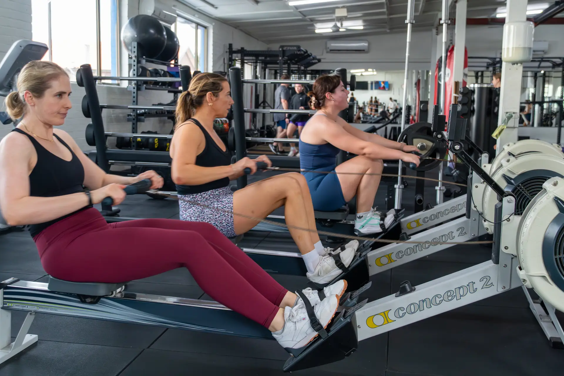 Catalyst Training Co Member training